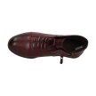 Bordowe niskie botki damskie SABATINA DM20-8
